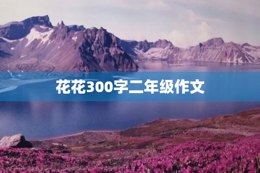 花花300字二年级作文