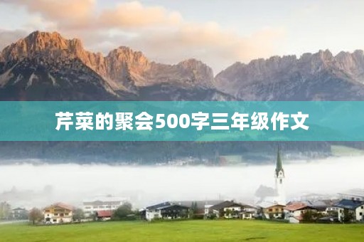 芹菜的聚会500字三年级作文 芹菜的聚会500字三年级作文