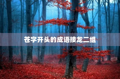 苍字开头的成语接龙二组