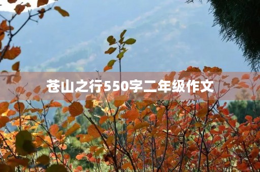 苍山之行550字二年级作文 苍山之行550字二年级作文