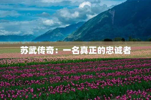 苏武传奇：一名真正的忠诚者