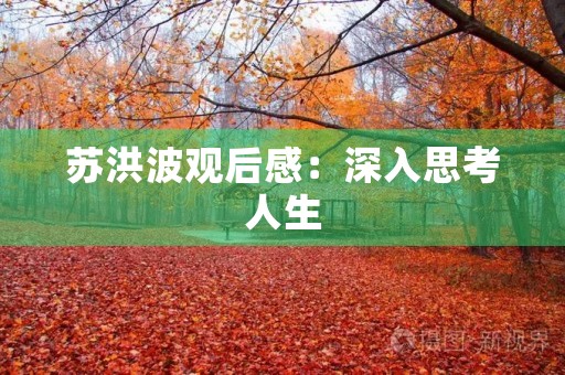 苏洪波观后感：深入思考人生