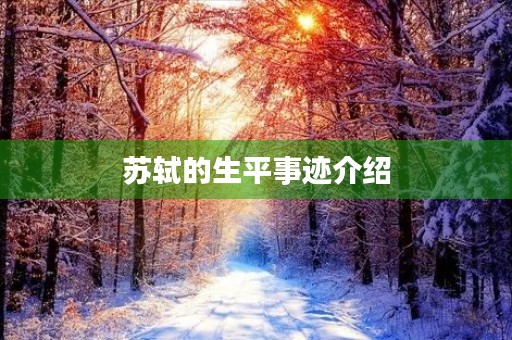苏轼的生平事迹介绍 苏轼的生平事迹介绍