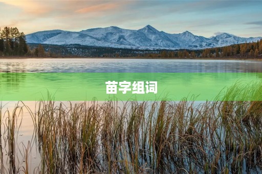 苗字组词(苗组词) 苗字组词(苗组词)