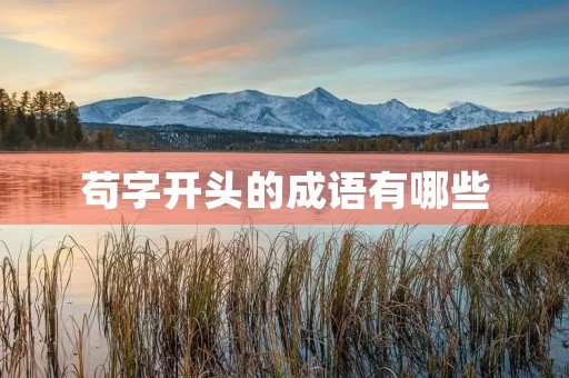 苟字开头的成语有哪些