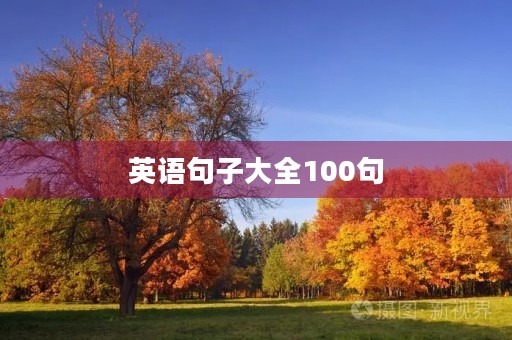 英语句子大全100句(英语句子大全100句带翻译)