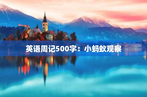 英语周记500字：小蚂蚁观察