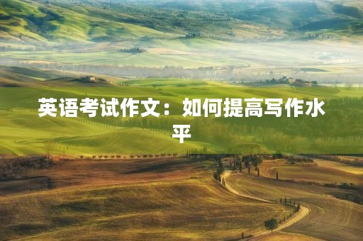 英语考试作文：如何提高写作水平