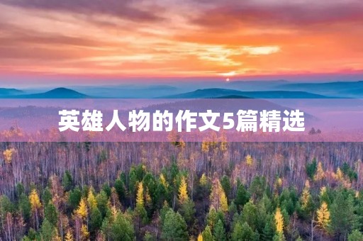 英雄人物的作文5篇精选