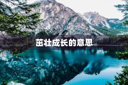 茁壮成长的意思(茁壮成长的意思)