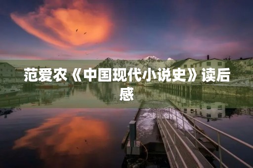 范爱农《中国现代小说史》读后感