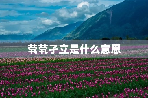茕茕孑立是什么意思