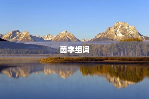 茵字组词(茵字组词) 茵字组词(茵字组词)