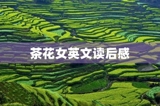茶花女英文读后感 茶花女英文读后感