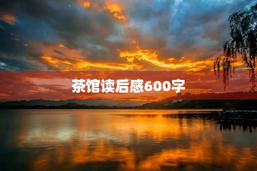 茶馆读后感600字