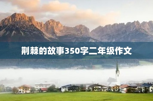 荆棘的故事350字二年级作文