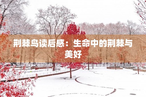 荆棘鸟读后感：生命中的荆棘与美好