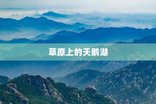 草原上的天鹅湖 草原上的天鹅湖