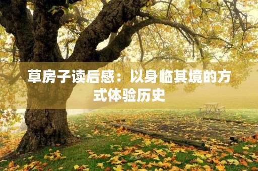 草房子读后感：以身临其境的方式体验历史