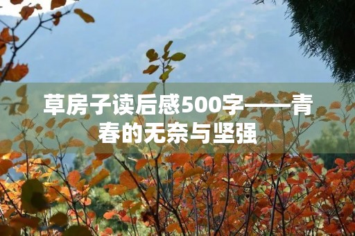 草房子读后感500字——青春的无奈与坚强