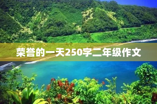 荣誉的一天250字二年级作文