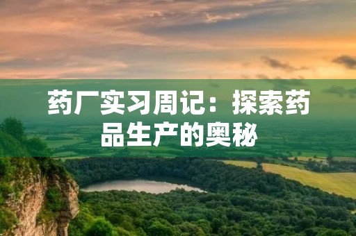 药厂实习周记：探索药品生产的奥秘