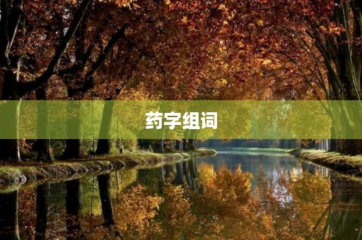 药字组词(药组词) 药字组词(药组词)