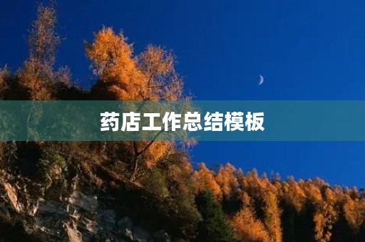 药店工作总结模板 药店工作总结模板