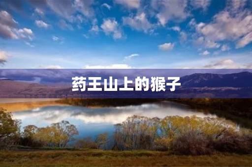 药王山上的猴子 药王山上的猴子