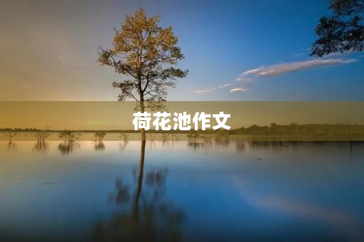 荷花池作文