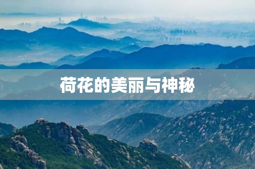 荷花的美丽与神秘