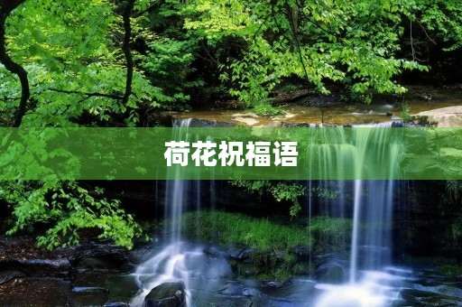 荷花祝福语,荷花佳句简短