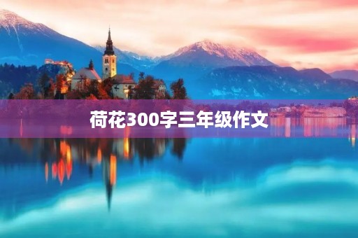 荷花300字三年级作文