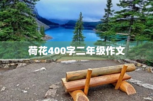 荷花400字二年级作文