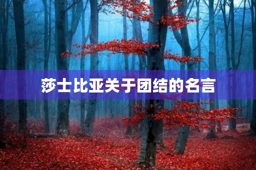 莎士比亚关于团结的名言(莎士比亚关于团结的名言警句)