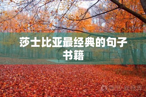 莎士比亚最经典的句子书籍(莎士比亚最经典的句子书籍是全世界的营养品) 莎士比亚最经典的句子书籍(莎士比亚最经典的句子书籍是全世界的营养品)