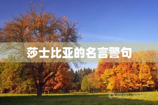 莎士比亚的名言警句,莎士比亚的名言警句关于读书的 莎士比亚的名言警句,莎士比亚的名言警句关于读书的