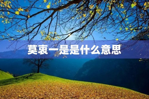 莫衷一是是什么意思