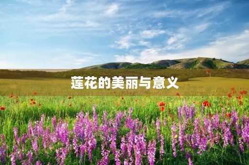 莲花的美丽与意义 莲花的美丽与意义