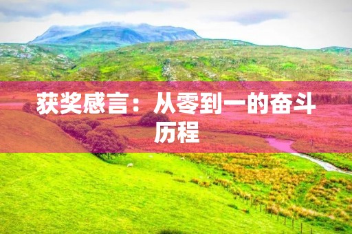获奖感言：从零到一的奋斗历程