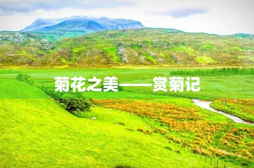 菊花之美——赏菊记