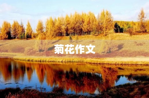 菊花作文 菊花作文