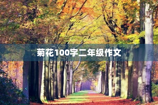 菊花100字二年级作文 菊花100字二年级作文