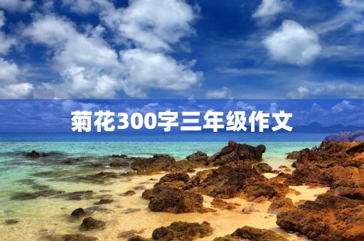 菊花300字三年级作文 菊花300字三年级作文
