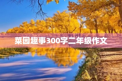 菜园趣事300字二年级作文