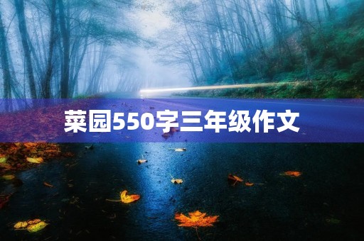 菜园550字三年级作文