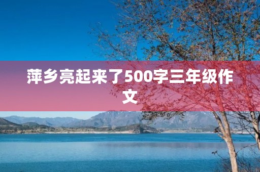 萍乡亮起来了500字三年级作文 萍乡亮起来了500字三年级作文