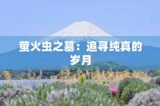 萤火虫之墓:追寻纯真的岁月 萤火虫之墓:追寻纯真的岁月