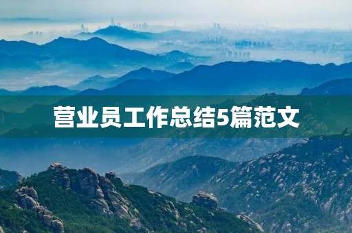 营业员工作总结5篇范文