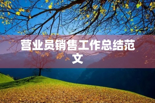 营业员销售工作总结范文 营业员销售工作总结范文